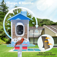 Bird Feeder with Camera, 2K HD Video Capture, 5000mAh Battery with Solar Panel, Instant Arrival Alerts, Live View, AI Species Identification, Perfect for Bird Lovers
