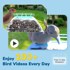 2K HD Bird Camera Feeder with Solar Panel - AI Species ID & Instant Alerts for Bird Lovers