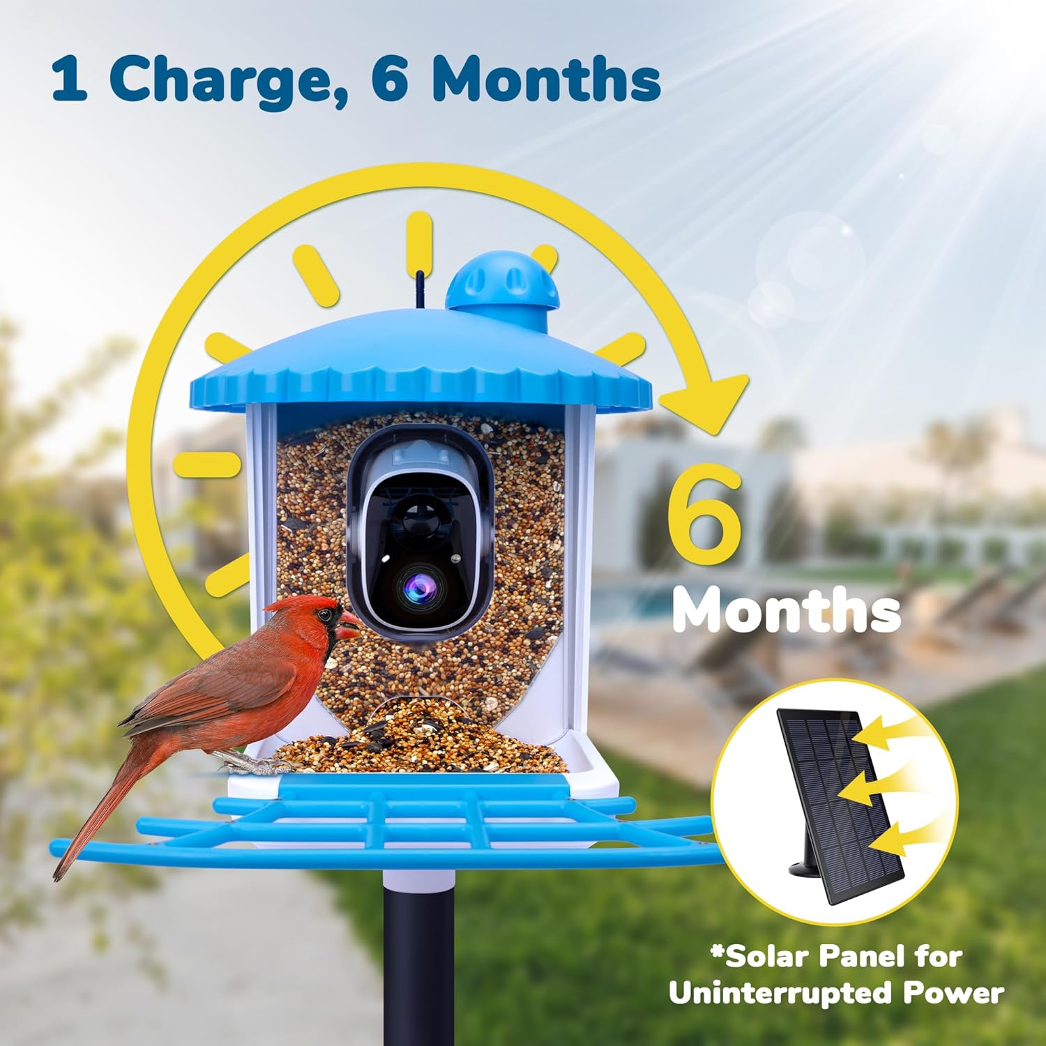 2K HD Bird Camera Feeder with Solar Panel - AI Species ID & Instant Alerts for Bird Lovers