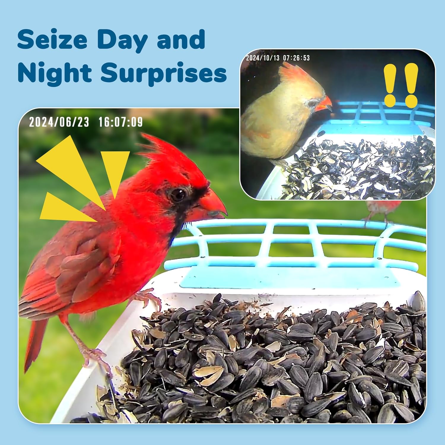 2K HD Bird Camera Feeder with Solar Panel - AI Species ID & Instant Alerts for Bird Lovers
