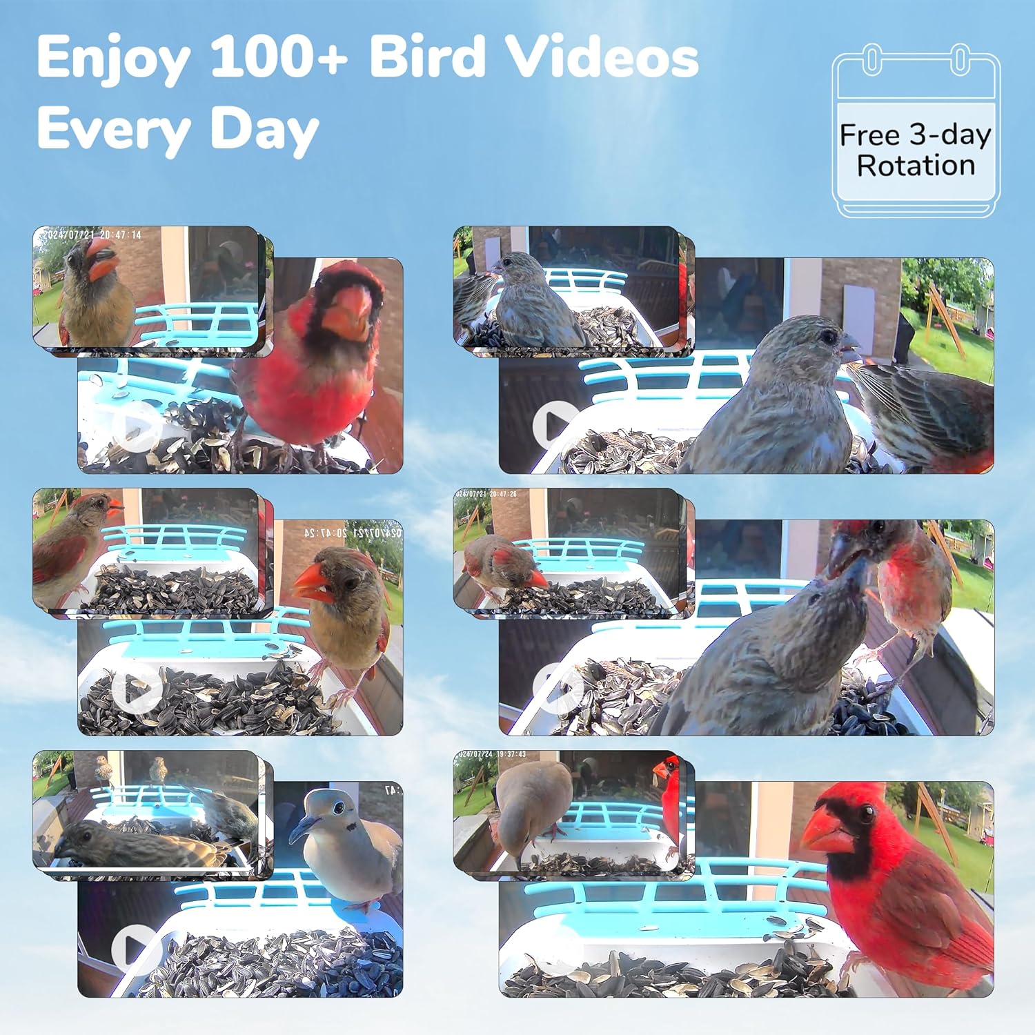 Bird Feeder with Camera, 2K HD Video Capture, 5000mAh Battery with Solar Panel, Instant Arrival Alerts, Live View, AI Species Identification, Perfect for Bird Lovers